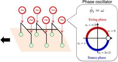 A Minimal Model Describing Hexapedal Interlimb Coordination: The Tegotae-Based Approach